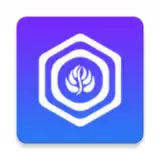 Open Browser