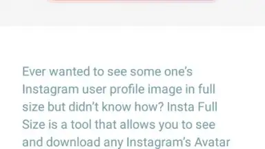 Captura de tela de InstaFullSize 4