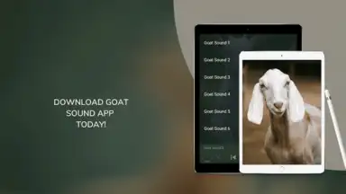 Captura de tela de Goat Sounds 3