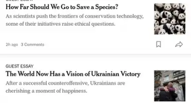 Captura de tela de The New York Times 6