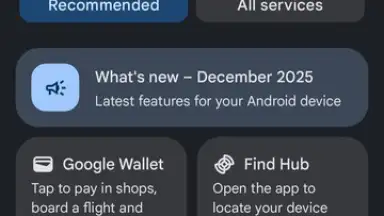 Captura de tela de Google Mobile Services (GMS) 1
