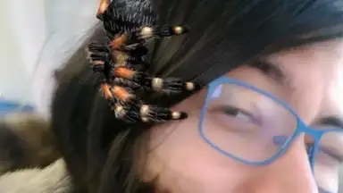 Captura de tela de Banuba - Live Selfie Filters & Face Masks Camera 4