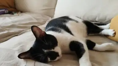 Captura de tela de Open Camera 9