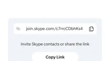 Captura de tela de Skype 8