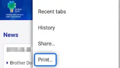 Captura de tela de Brother Print Service Plugin 4