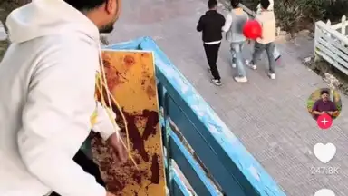 Captura de tela de TikTok Pro 7