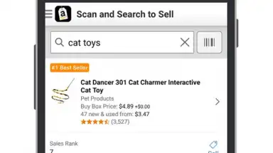 Captura de tela de Amazon Seller 2