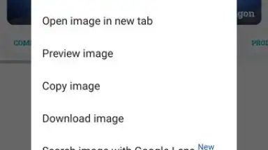 Captura de tela de Google Chrome 10