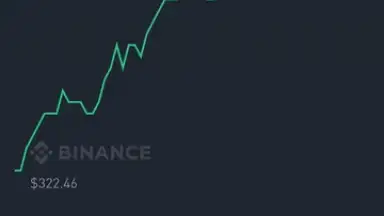 Captura de tela de Binance 12