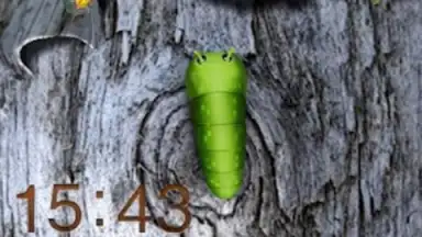 Captura de tela de GO Locker 4