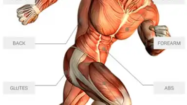 Captura de tela de JEFIT 7