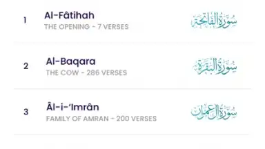 Captura de tela de The Holy Quran - English 11