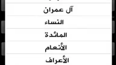 Captura de tela de Holy Quran 5