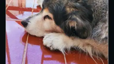 Captura de tela de Filmora 21