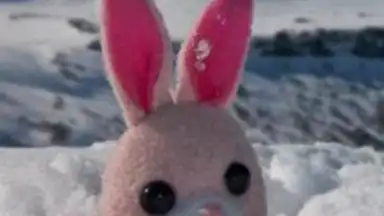 Captura de tela de Facebook Photo Download Save 3