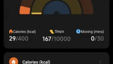 Captura de tela de Mi Fitness (Xiaomi Wear) 5
