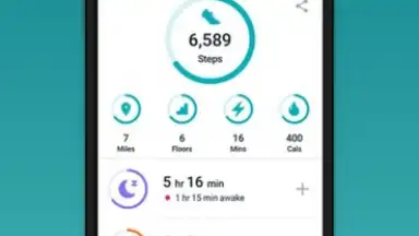 Captura de tela de Fitbit 5