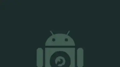 Captura de tela de DroidCam 1