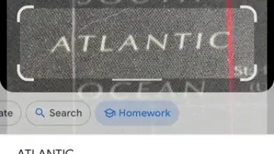 Captura de tela de Google Lens 4