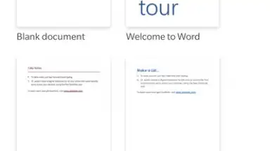 Captura de tela de Microsoft Word 9