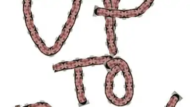 Captura de tela de Adobe Brush CC 4