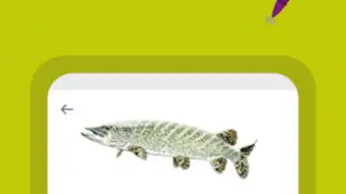 Captura de tela de Génération Pêche 1