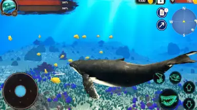 Captura de tela de The Humpback Whales 1