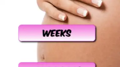 Captura de tela de Pregnancy Weekly 1