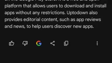 Captura de tela de Google Gemini 13