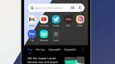 Captura de tela de DDU Browser 4