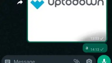 Captura de tela de WhatsApp Messenger 8
