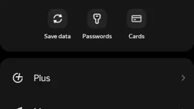 Captura de tela de Yandex 1