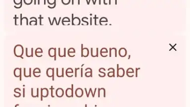 Captura de tela de Google Translate 1