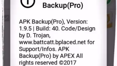 Captura de tela de APK Backup(Pro) 7