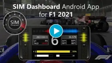 Captura de tela de SIM Dashboard 1