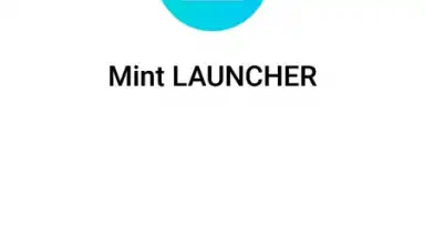 Captura de tela de Mint Launcher 1