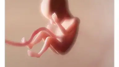 Captura de tela de Pregnancy + 1