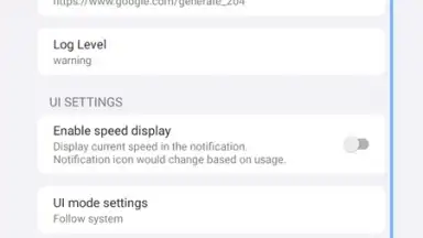 Captura de tela de v2RayTun 13