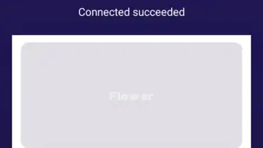 Captura de tela de Flower VPN 1