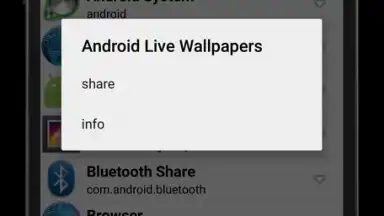 Captura de tela de Meher APK Extractor 5