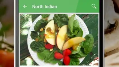 Captura de tela de Indian Book 4