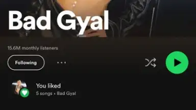 Captura de tela de Spotify 5