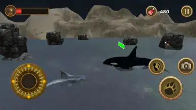 Captura de tela de Great White Shark Survival 2