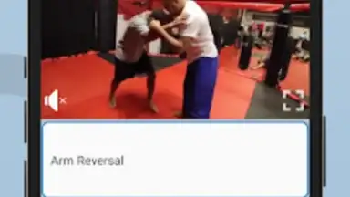 Captura de tela de Ultimate MMA Fighting Program 9