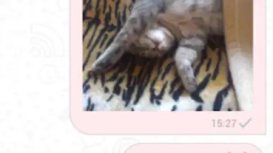 Captura de tela de Triple chat, online dating 2
