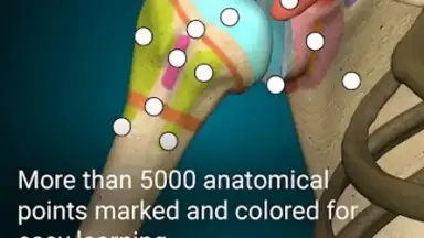 Captura de tela de 3D Anatomy Learning 7