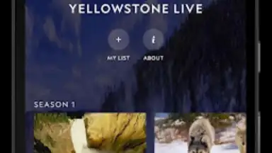 Captura de tela de Nat Geo TV 13