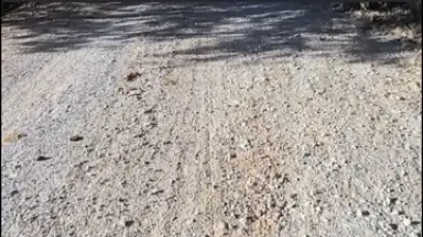 Captura de tela de DJI Mimo 21