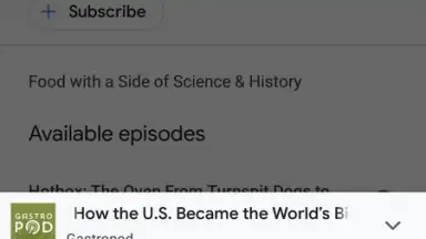 Captura de tela de Google Podcasts 6