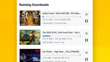 Captura de tela de Vidora YouTube Downloader | free & fast 9